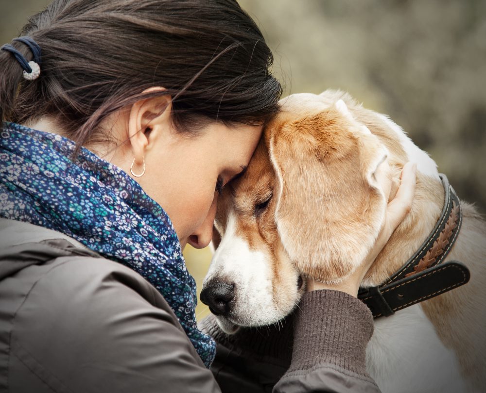 Chica y perro