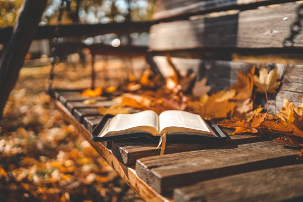 El otoño llegará este domingo